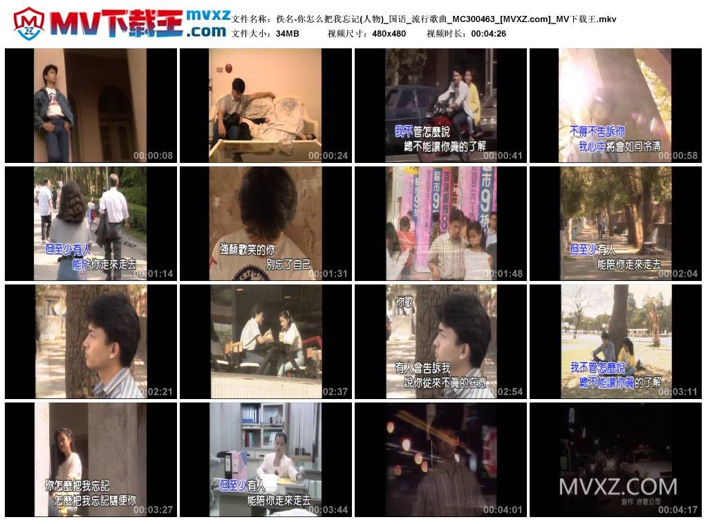 佚名-你怎么把我忘记(人物)_国语_流行歌曲_MC300463